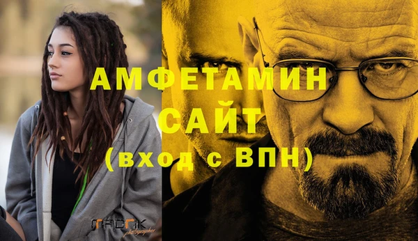 стаф Алексин