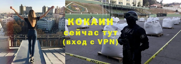 стаф Алексин